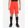 Шорти Nike Youth Dri-FIT Park III BV6865-635