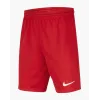 Шорти Nike Youth Dri-FIT Park III BV6865-657