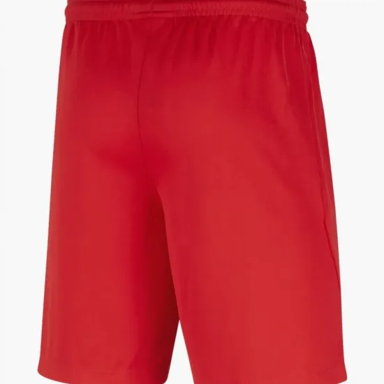 Шорти Nike Youth Dri-FIT Park III BV6865-657