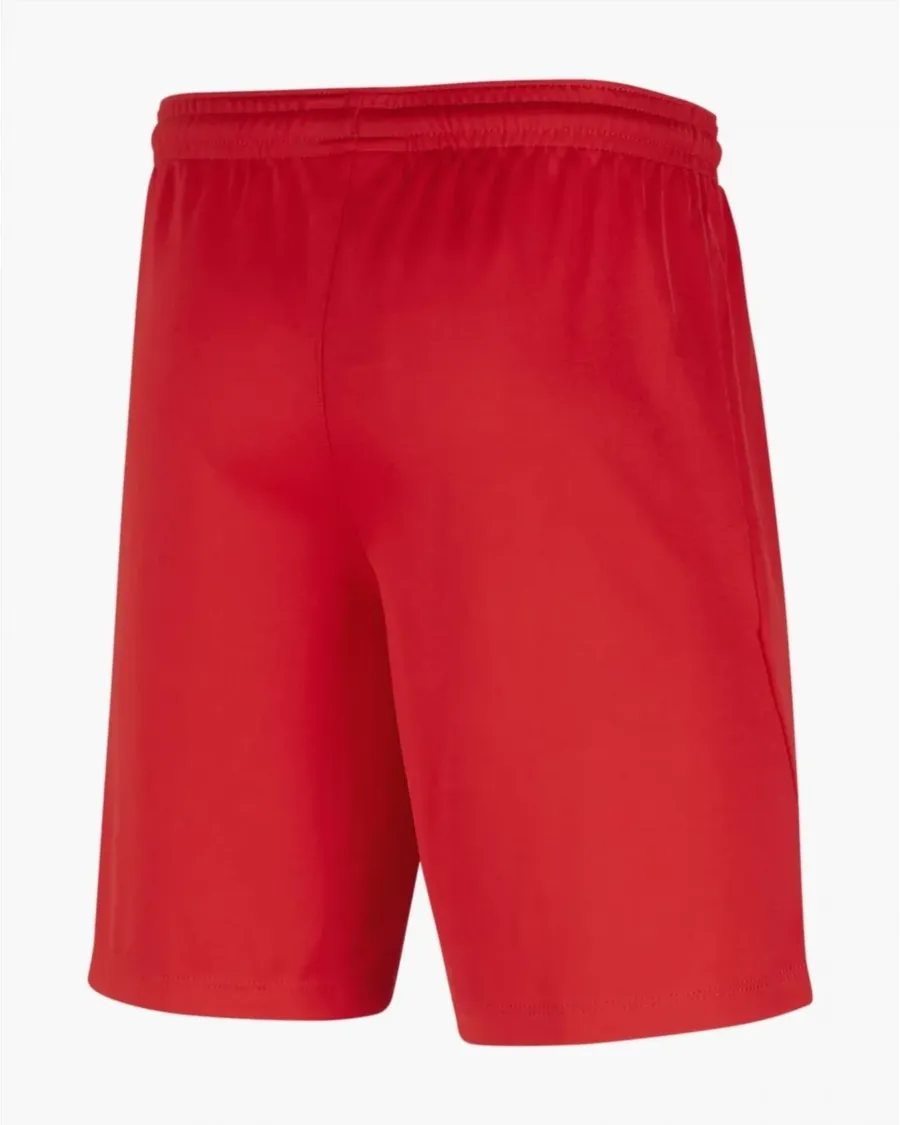 Шорти Nike Youth Dri-FIT Park III BV6865-657