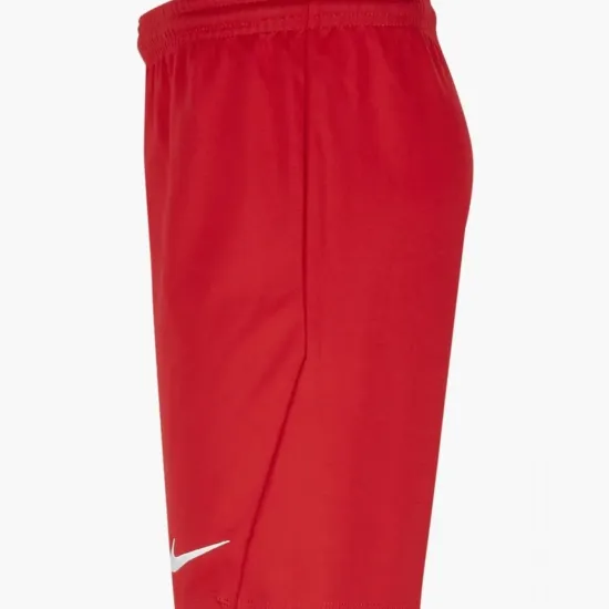 Шорти Nike Youth Dri-FIT Park III BV6865-657