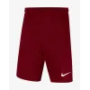 Шорти Nike Youth Dri-FIT Park III BV6865-677