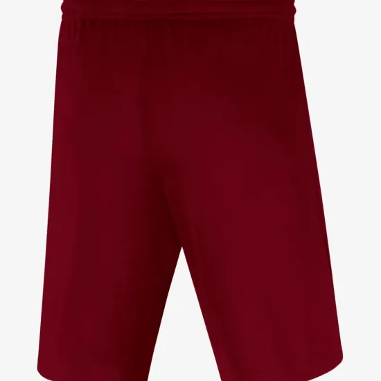 Шорти Nike Youth Dri-FIT Park III BV6865-677