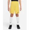 Шорти Nike Youth Dri-FIT Park III BV6865-719