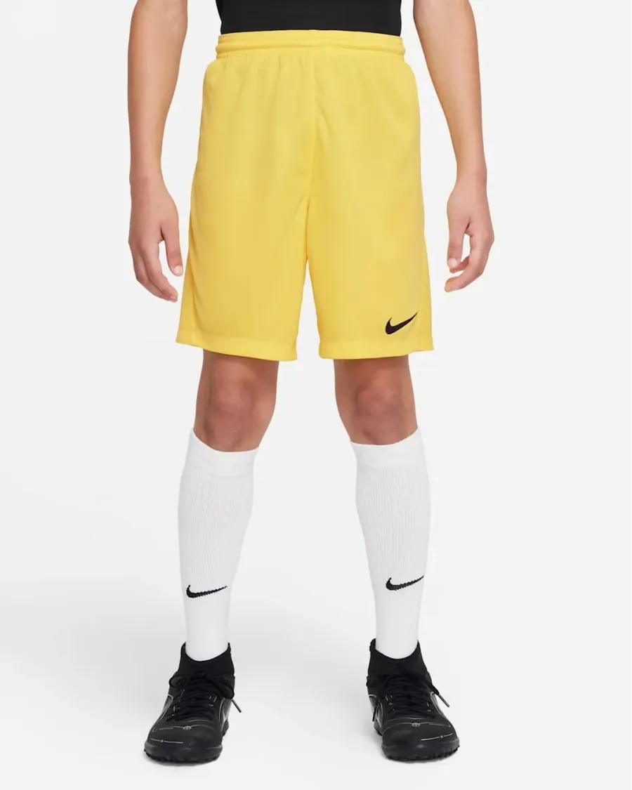 Шорти Nike Youth Dri-FIT Park III BV6865-719