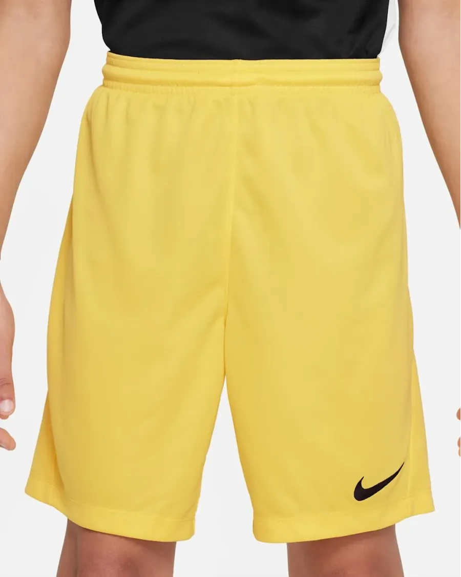 Шорти Nike Youth Dri-FIT Park III BV6865-719