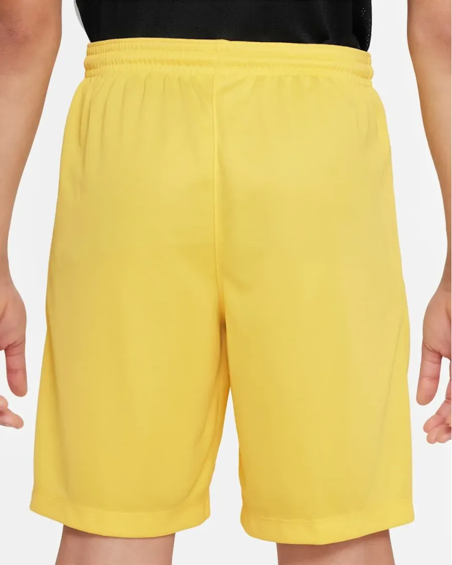 Шорти Nike Youth Dri-FIT Park III BV6865-719