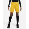 Шорти Nike Youth Dri-FIT Park III BV6865-739