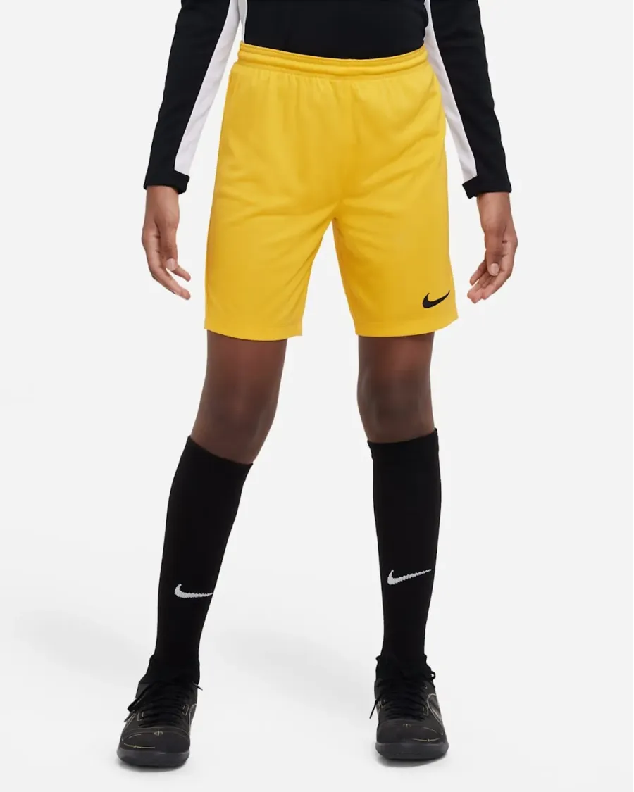 Шорти Nike Youth Dri-FIT Park III BV6865-739