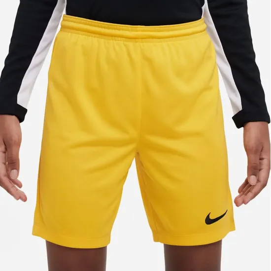 Шорти Nike Youth Dri-FIT Park III BV6865-739