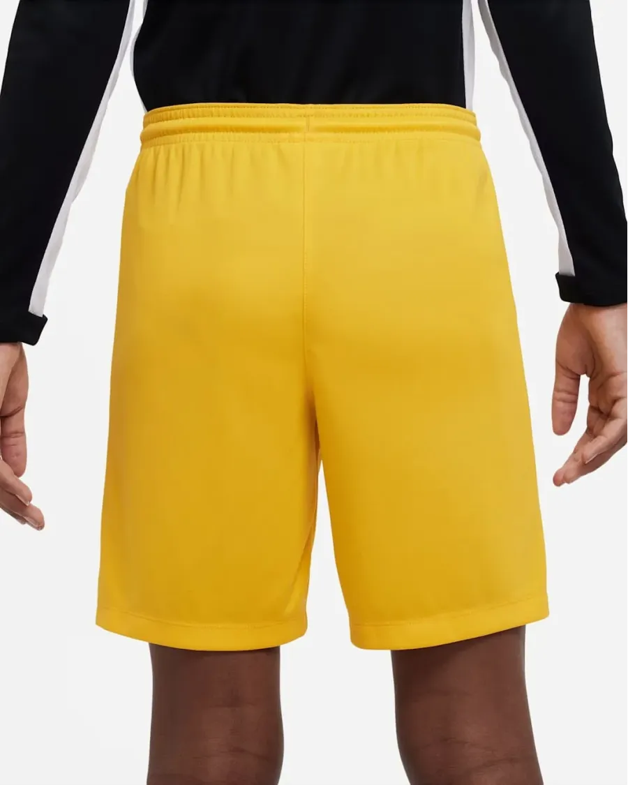 Шорти Nike Youth Dri-FIT Park III BV6865-739
