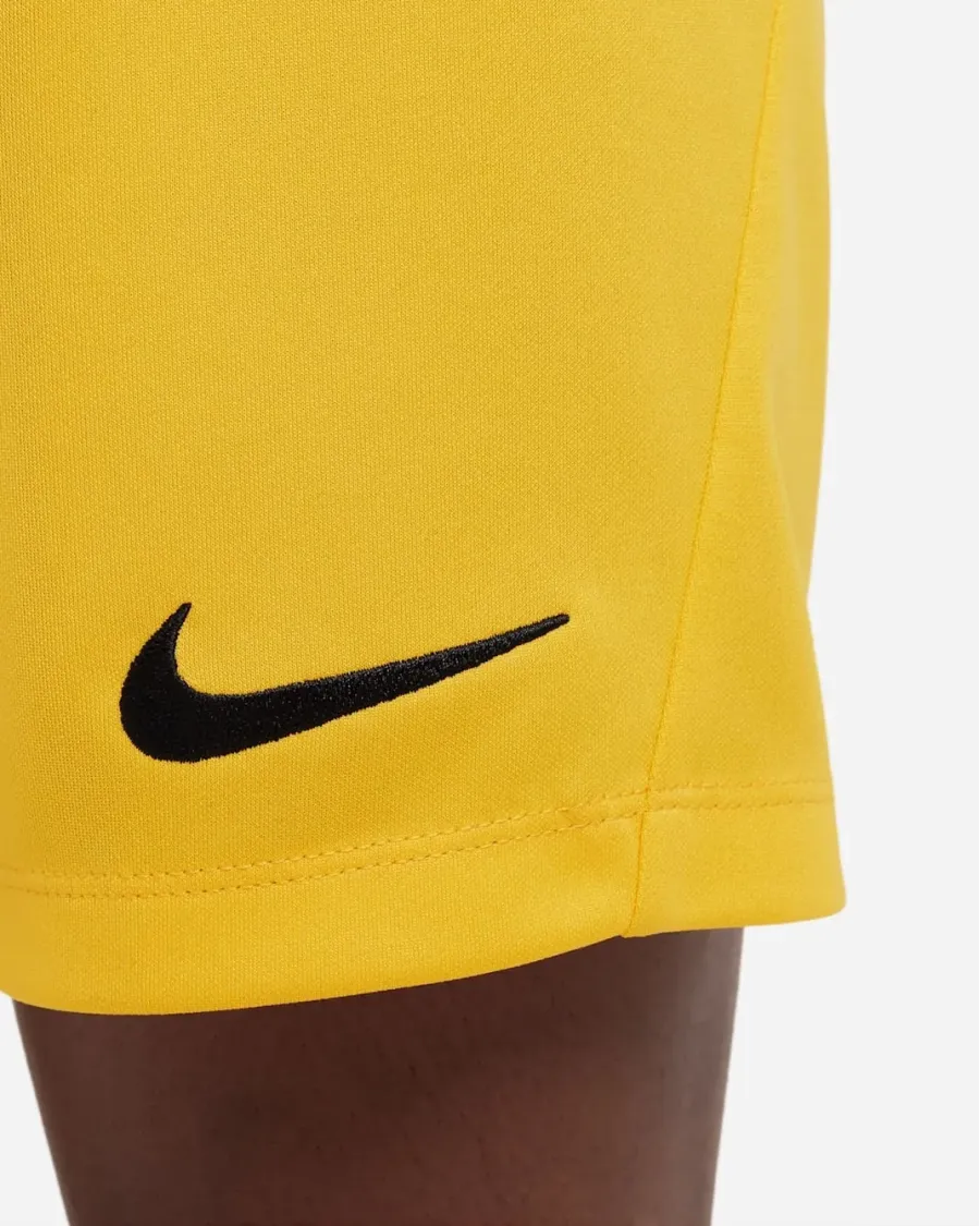 Шорти Nike Youth Dri-FIT Park III BV6865-739