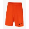 Шорти Nike Youth Dri-FIT Park III BV6865-819