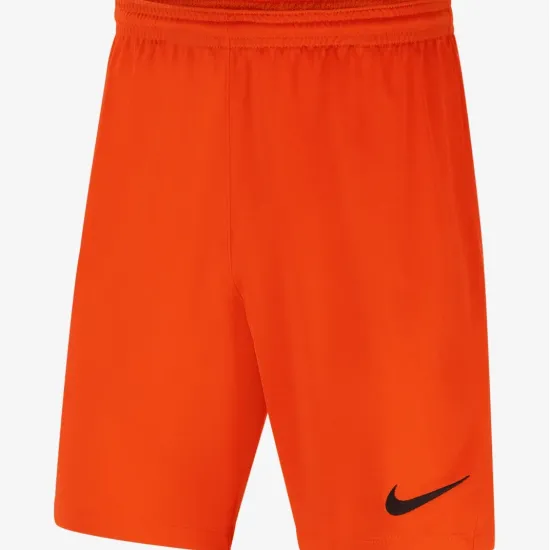 Шорти Nike Youth Dri-FIT Park III BV6865-819