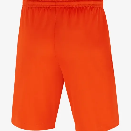 Шорти Nike Youth Dri-FIT Park III BV6865-819
