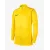 Толстовка Nike Dri-FIT Park 20 Knit Track BV6885-719
