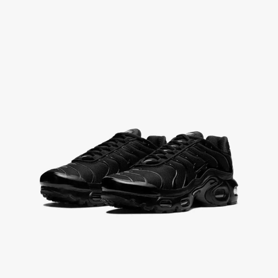 Кросівки Nike Air Max Plus CD0609-001