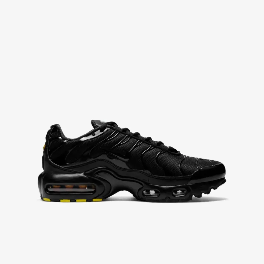 Кросівки Nike Air Max Plus CD0609-001