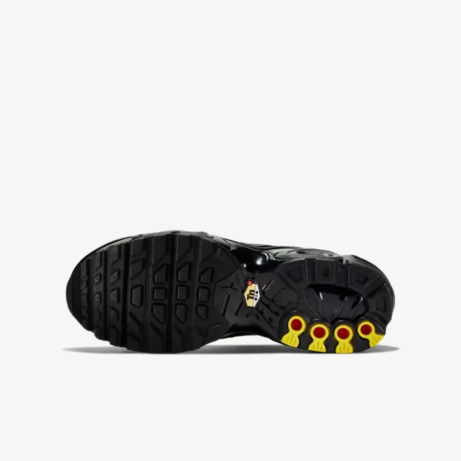 Кросівки Nike Air Max Plus CD0609-001