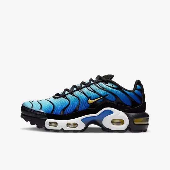 Кросівки Nike Air Max Plus CD0609-032