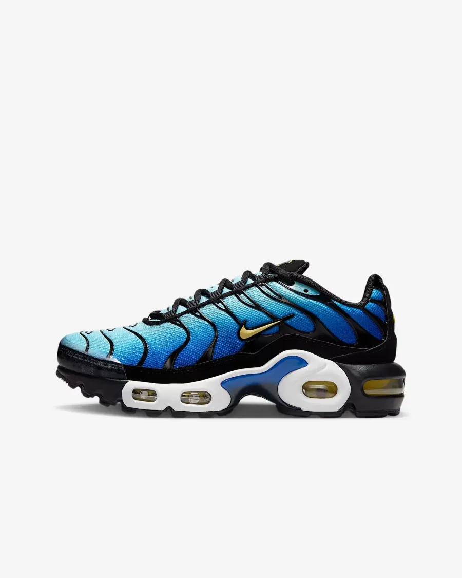 Кросівки Nike Air Max Plus CD0609-032