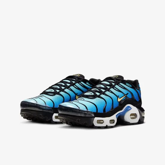 Кросівки Nike Air Max Plus CD0609-032