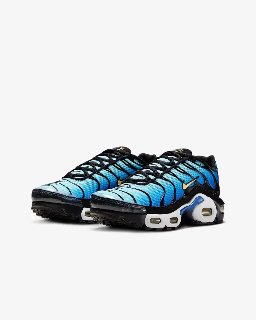 Кросівки Nike Air Max Plus CD0609-032