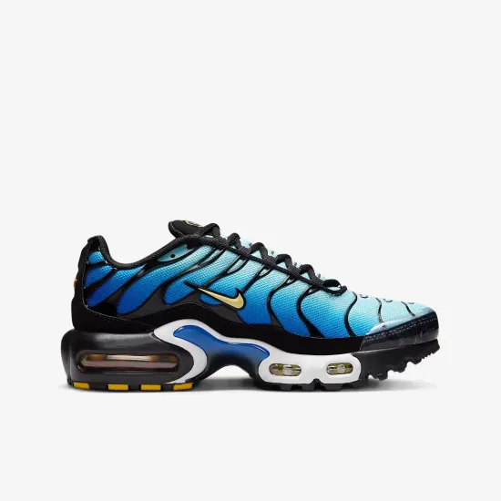 Кросівки Nike Air Max Plus CD0609-032
