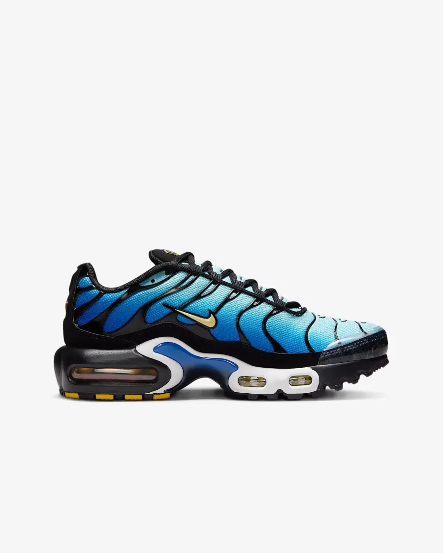 Кросівки Nike Air Max Plus CD0609-032