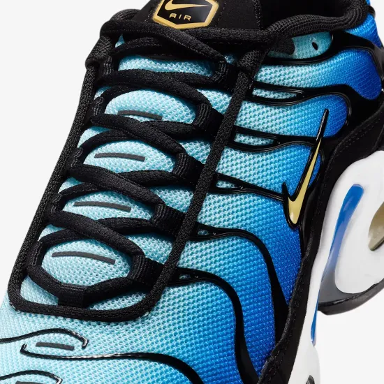 Кросівки Nike Air Max Plus CD0609-032