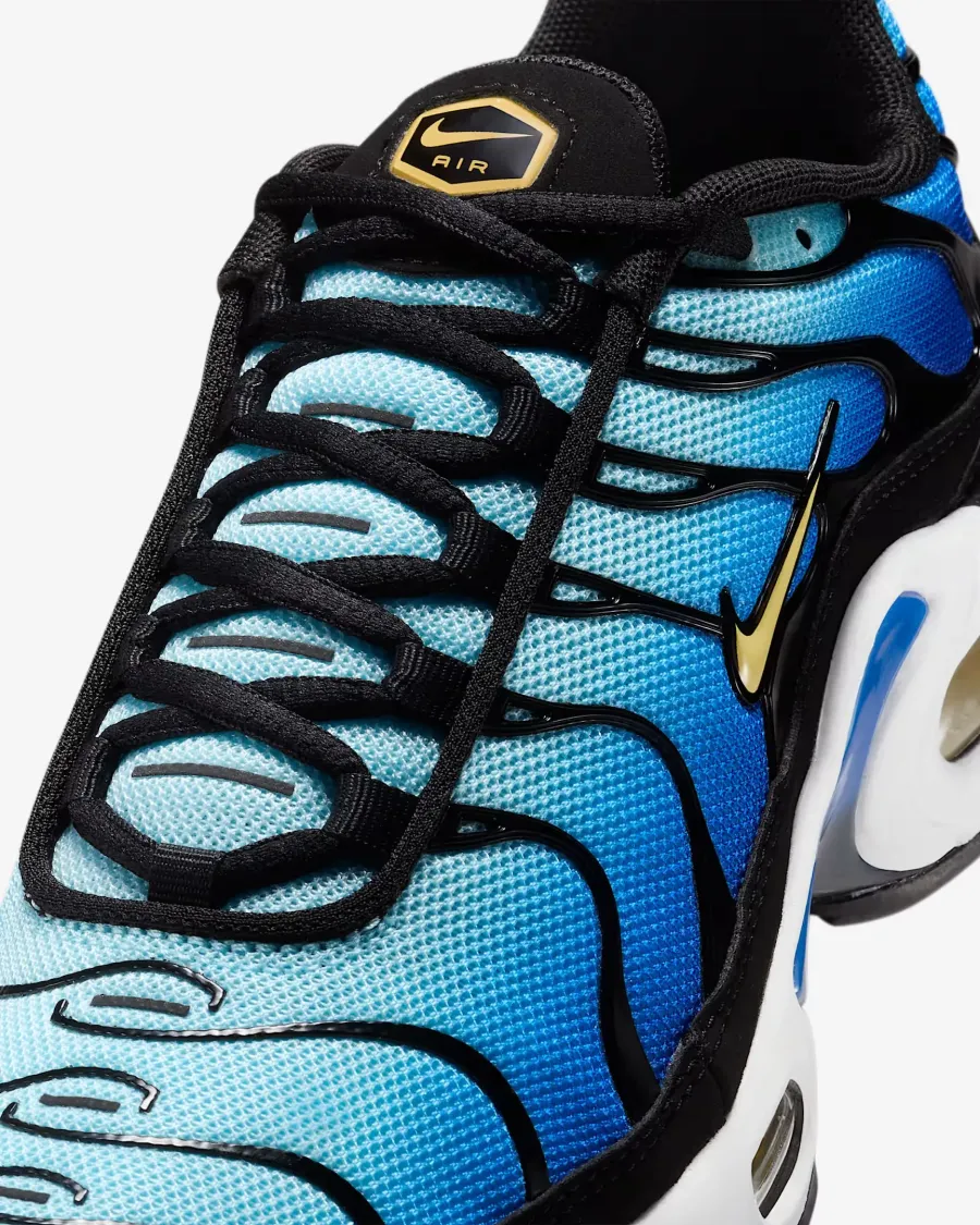 Кросівки Nike Air Max Plus CD0609-032