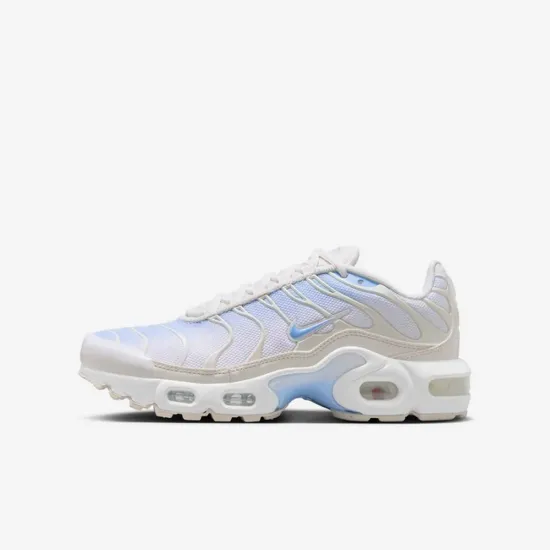 Кросівки Nike Air Max Plus CD0609-411