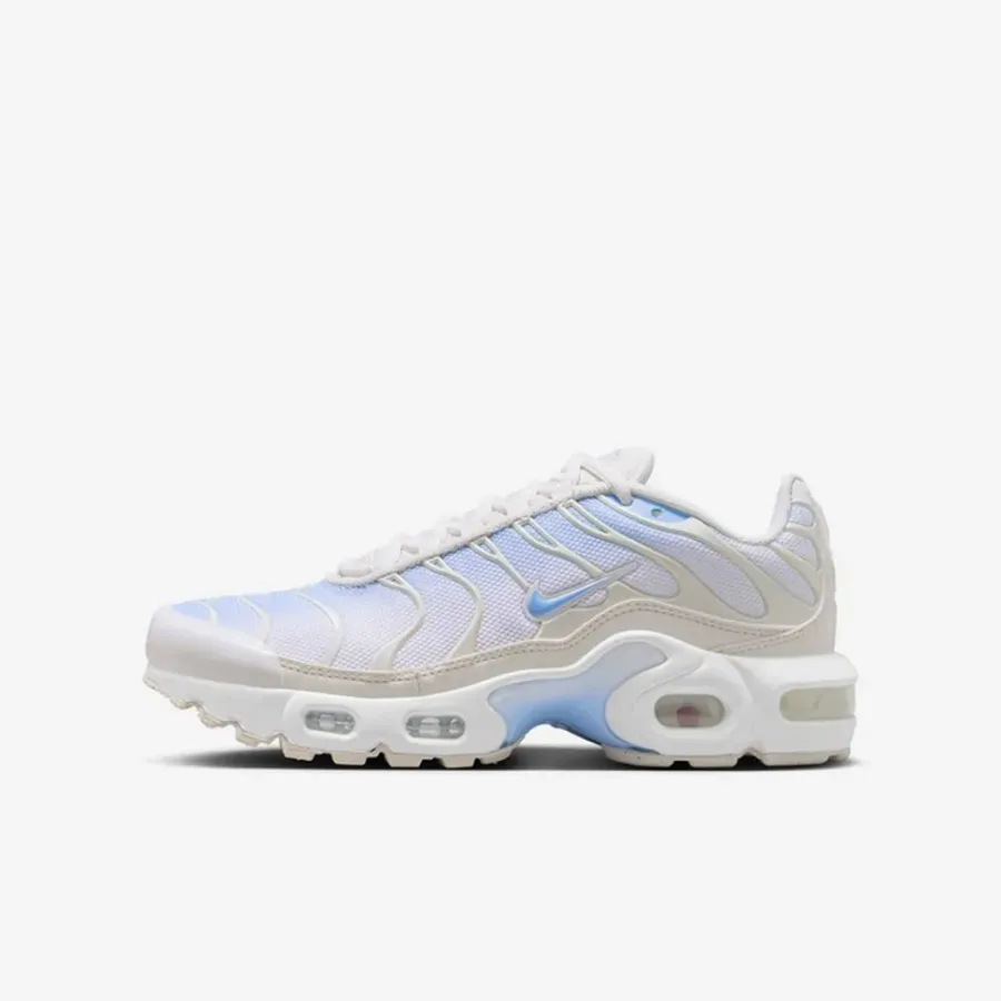 Кросівки Nike Air Max Plus CD0609-411