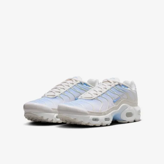Кросівки Nike Air Max Plus CD0609-411