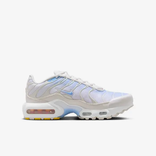 Кросівки Nike Air Max Plus CD0609-411