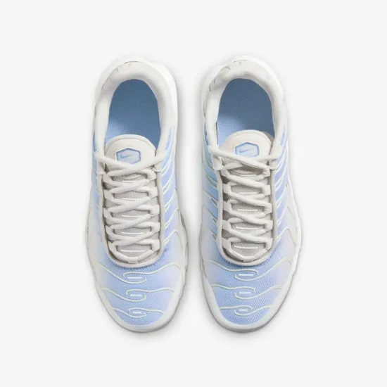 Кросівки Nike Air Max Plus CD0609-411