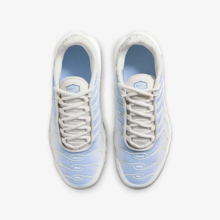 Кросівки Nike Air Max Plus CD0609-411