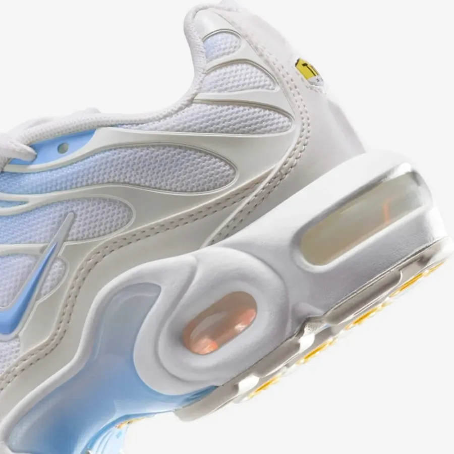 Кросівки Nike Air Max Plus CD0609-411