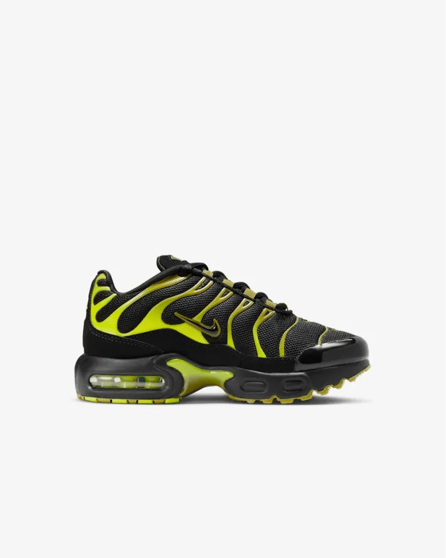Кросівки Nike Air Max Plus CD0610-028