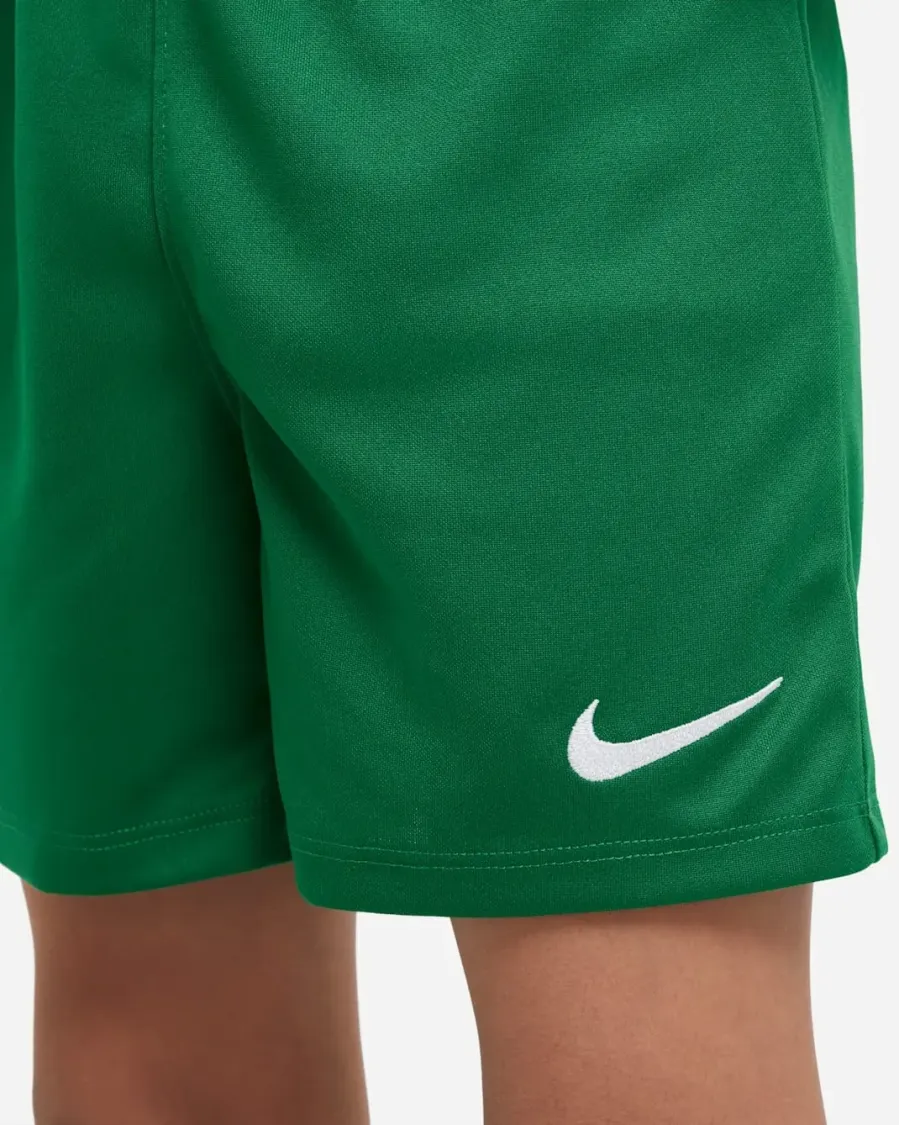 Костюм Nike Dry Park 20 Kit Set CD2244-302