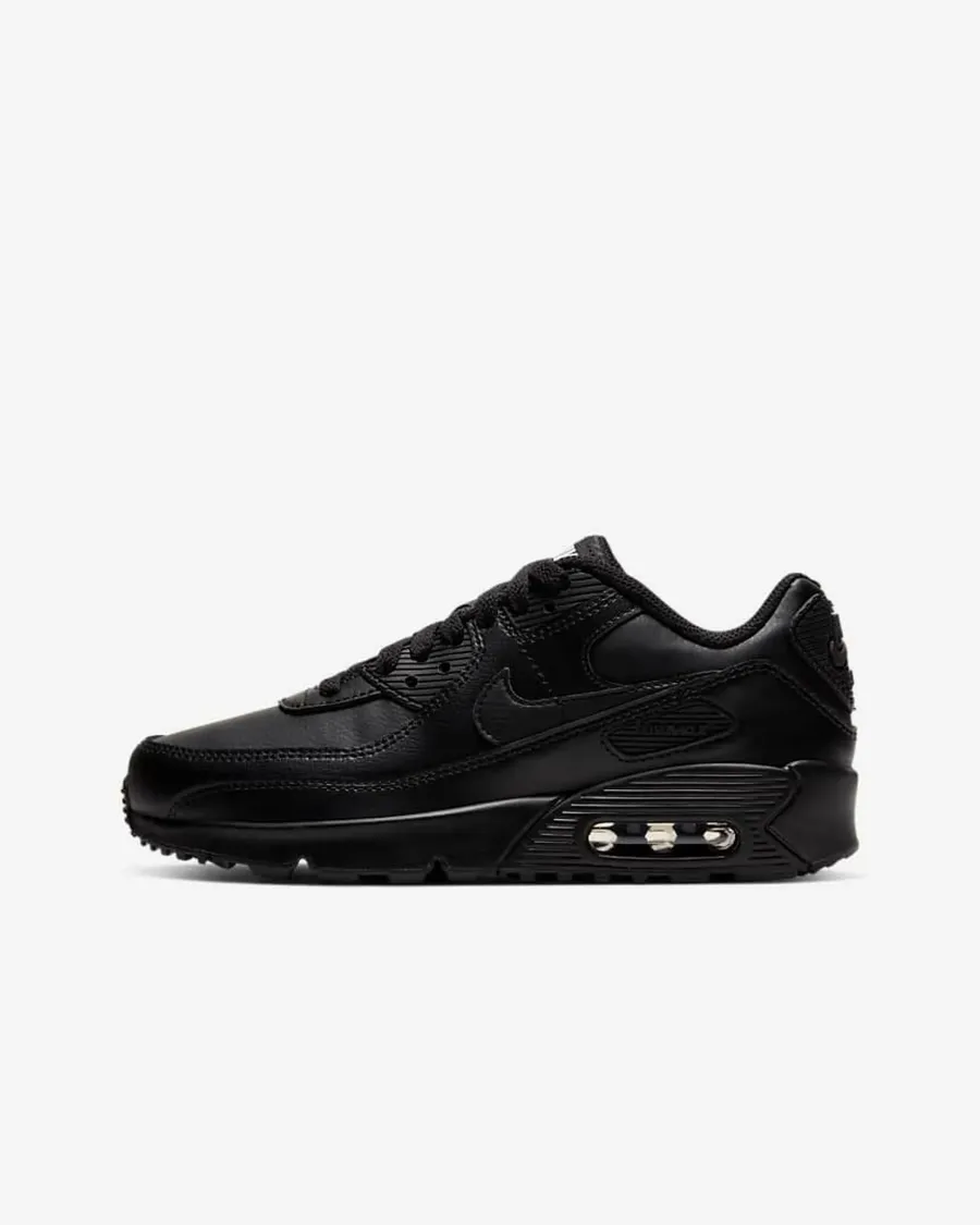 Кросівки Nike Air Max 90 LTR CD6864-001
