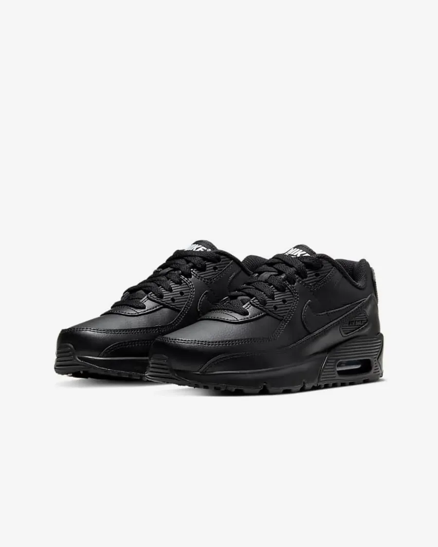 Кросівки Nike Air Max 90 LTR CD6864-001