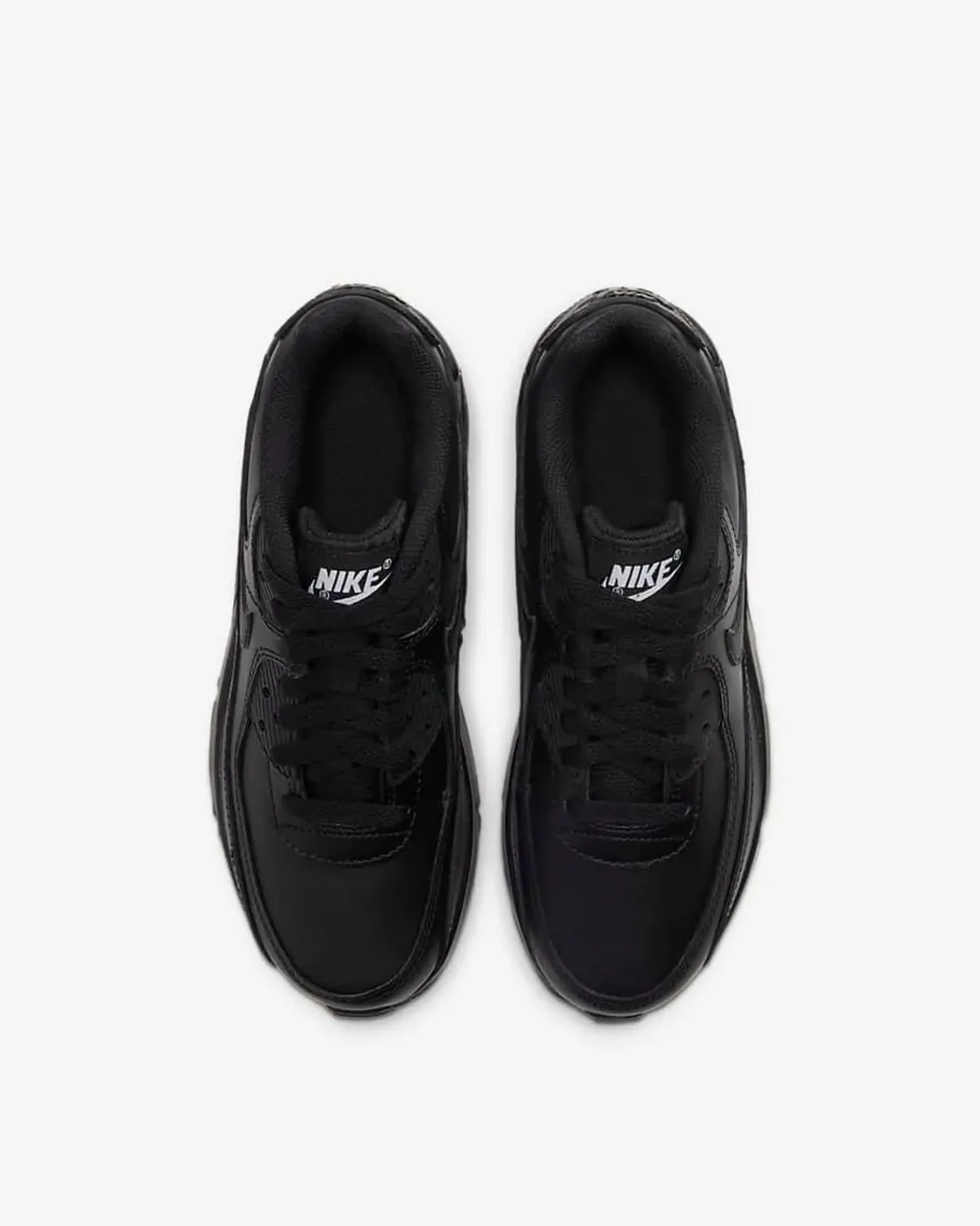 Кросівки Nike Air Max 90 LTR CD6864-001