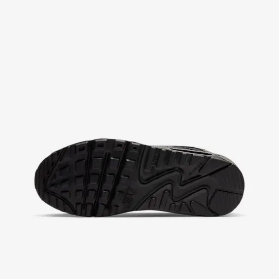 Кросівки Nike Air Max 90 LTR CD6864-001