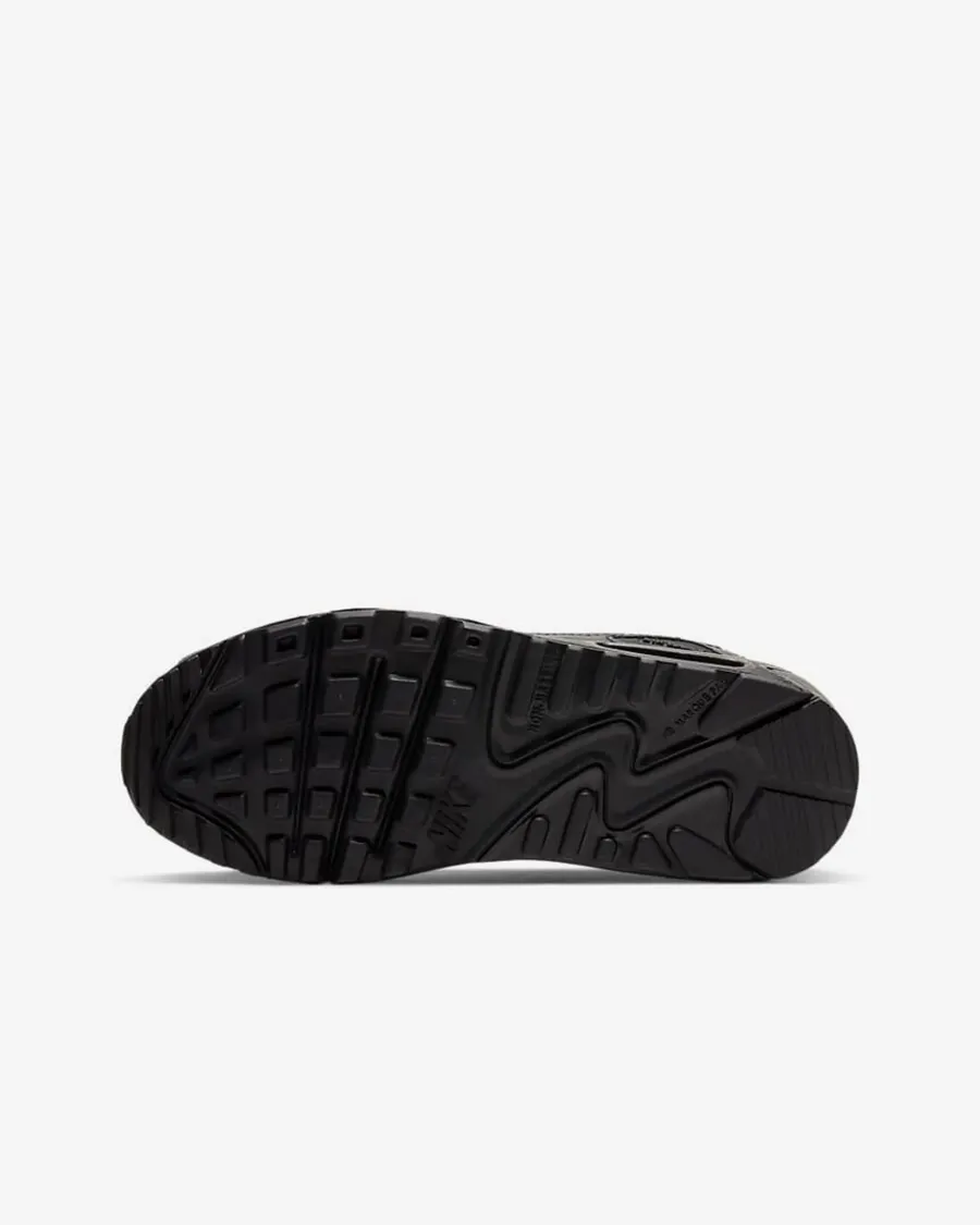Кросівки Nike Air Max 90 LTR CD6864-001