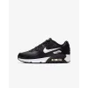 Кросівки Nike Air Max 90 LTR CD6864-010