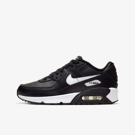 Кросівки Nike Air Max 90 LTR CD6864-010