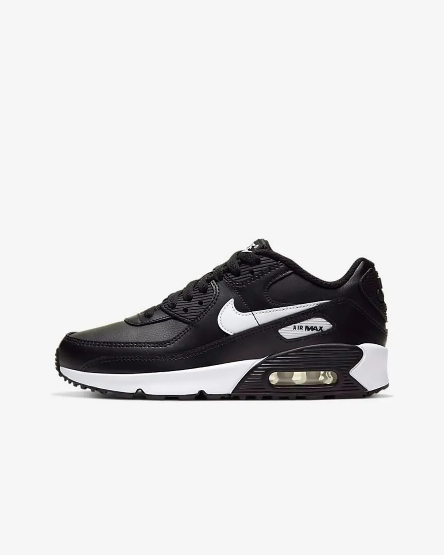 Кросівки Nike Air Max 90 LTR CD6864-010