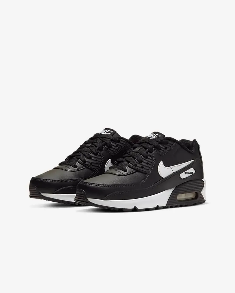 Кросівки Nike Air Max 90 LTR CD6864-010