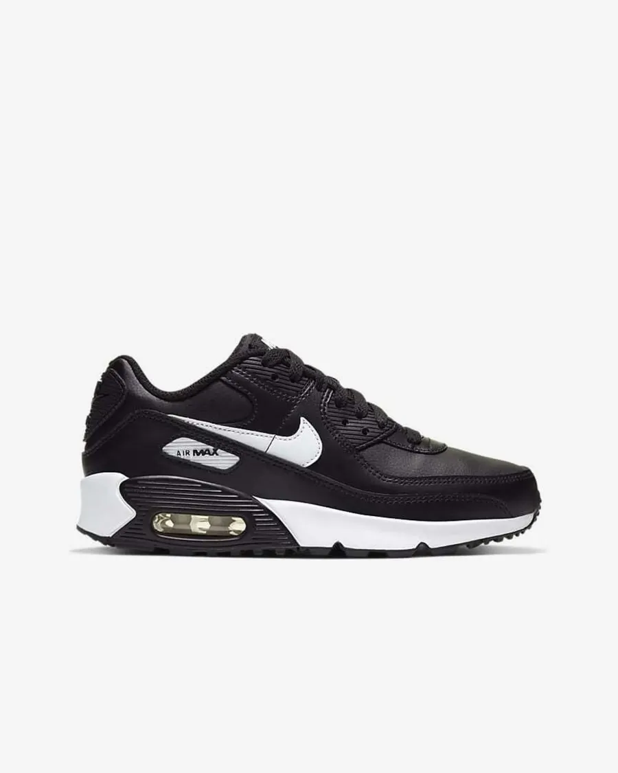 Кросівки Nike Air Max 90 LTR CD6864-010